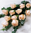 Envio y venta de flores ,rosas, plantas,arreglos florales ,regalos y desayunos a domicilio con delivery gratis en la Ciudad Autonoma de Buenos Aires y con costo de env�o en localidades del Gran Buenos Aires asi como delivery de flores y plantas a trav�s de florerias asociadas en todas las provincias de la Argentina, Buenos Aires, la Pampa, Tucuman, La Rioja, R�o Negro, Entre Rios, Corrientes, Misiones, Neuquen, Chubut, Tierra del Fuego, Santa Cruz, San Luis, Mendoza, Cordoba, Jujuy, Formosa, Santiago del Estero, Salta, Chaco, Catamarca ,San Juan, y ademas realizamos el delivery de flores ,coronas,palmas , plantas y regalos a todas las ciudades de Argentina, Mar del Plata, C�rdoba, Buenos Aires, con cargo en Santa Rosa, La Plata, Bella Vista, Neuquen, Pilar, Paran�, Posadas, Resistencia, Cipolleti y mas de 300 ciudades y localidades en todo el territorio de nuestro pa�s, asi como tambien tenemos la posibilidad de enviar flores a casi todo el mundo en cuestion de horas